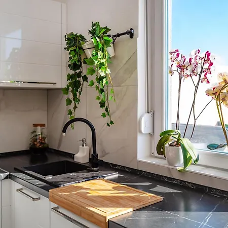 Apartman Amazing In With Kitchen *