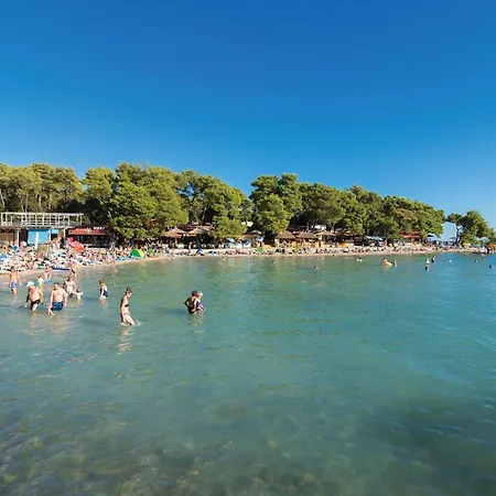 Apartment Amazing In With Kitchen